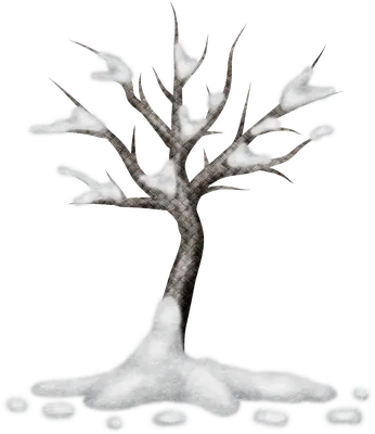 Мира прекрасного - Дерево в снегу