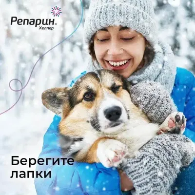 Лечение лишая у собаки — как и чем лечить стригущий и розовый лишай в  домашних условиях, препараты и мази для собак