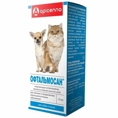 Демодикоз – PRIME ANIMAL HOSPITAL