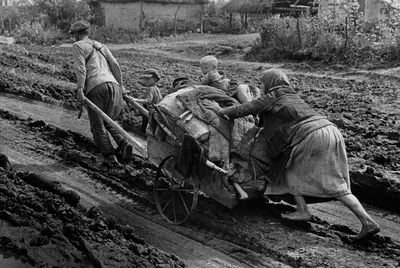 Дети Великой Отечественной - История России в фотографиях