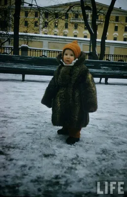 Как развлечь ребенка зимой практически бесплатно – Москва 24, 13.12.2020