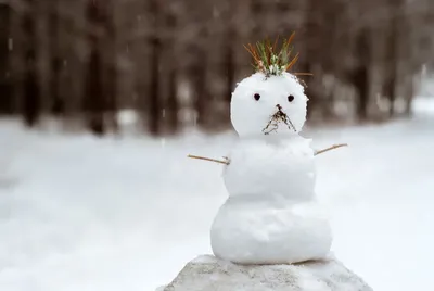 Зима дети играют в снежки» — создано в Шедевруме
