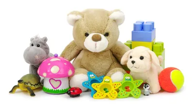 Игрушка Евклидов Ребенок, Игрушка Черепаха, животные, игрушечный блок, детские  игрушки png | PNGWing