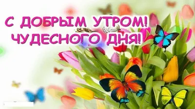 Детские открытки с добрым утром - красочные изображения для поднятия  настроения - snaply.ru