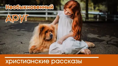 Детские христианские рассказы | Сравнить цены и купить на Prom.ua