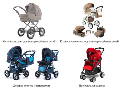 Прогулки для зимы 2022 • обзор