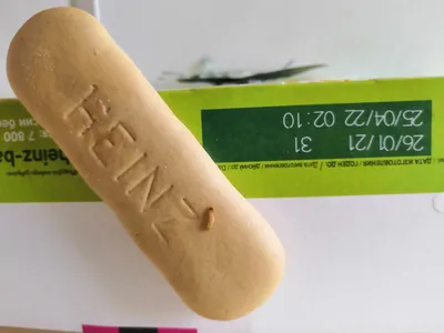 Печенье HEINZ 6злаков 60г м/у из раздела Детские каши и сухие смеси