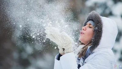 Изысканность снежной красоты: webp, скачать бесплатно, в хорошем качестве