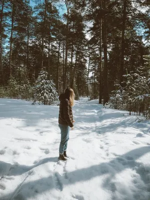 Изображение Девушки на снегу со спины в webp формате