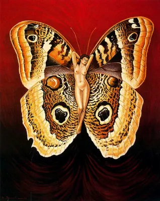 силуэт-девушка с бабочками. иллюстрация вектора Иллюстрация вектора -  иллюстрации насчитывающей творческо, красивейшее: 275916380