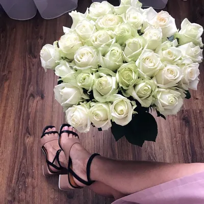 Белые розы | Rose, Flowers, Plants