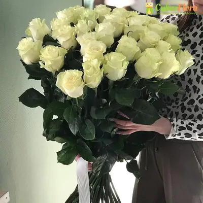 Девушка с белыми розами фото фотографии