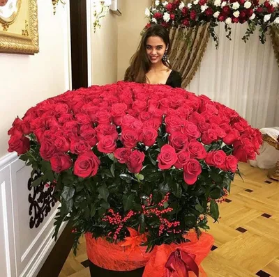 девушка с большим букетом красных роз Стоковое Фото - изображение  насчитывающей повелительница, свеже: 210022610