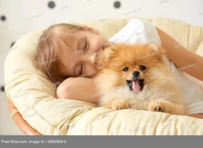 Картина Девочка с собакой на море в интернет-магазине Ярмарка Мастеров по  цене 2750 ₽ – RI4M8BY | Картины, Ижевск - доставка по России