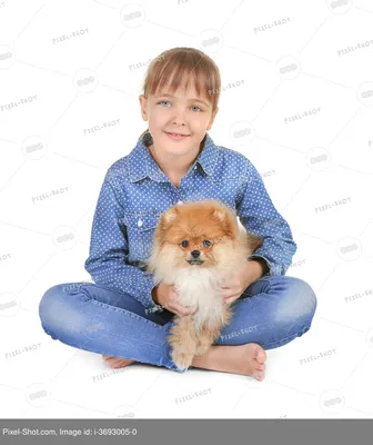 Брошь дама с собачкой купить в интернет магазине в Москве