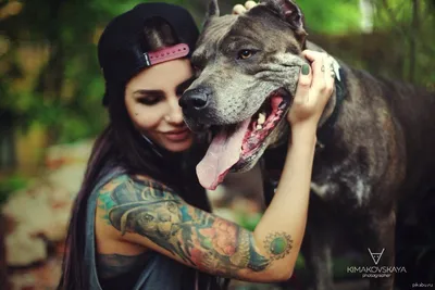 девушка с собакой :: Валерия Мороз – Социальная сеть ФотоКто