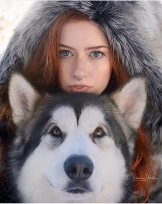 Красивая девушка с собакой стоковое изображение. изображение насчитывающей  собака - 32931755