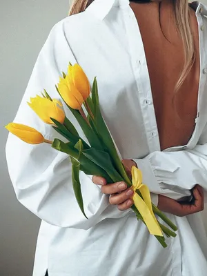 Жёлтые тюльпаны | Тюльпаны, Весенние фотографии, Тематические фотосессии