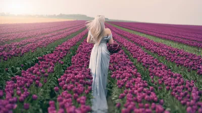 Девушка с тюльпанами стоковое изображение. изображение насчитывающей  заботить - 29245937