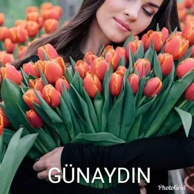 Красивая девушка с тюльпанами Стоковое Изображение - изображение  насчитывающей ясность, красивейшее: 38995123