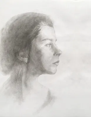 Красивый профиль молодой женщины. Девушка с длинными черными волосами  Иллюстрация штока - иллюстрации насчитывающей изолировано, иллюстрация:  179250017
