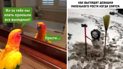 Девушки приколы картинки фотографии