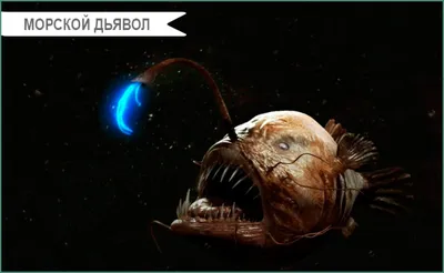 Дьявол (фильм, 2010) — Википедия