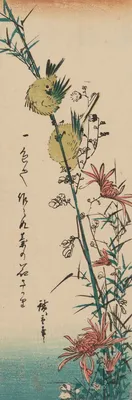 Белая дикая хризантема в саде Иллюстрация штока - иллюстрации насчитывающей  под, смотреть: 145354145
