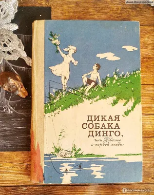 Купить книгу «Дикая собака динго, или Повесть о первой любви», Рувим  Фраерман | Издательство «Махаон», ISBN: 978-5-389-05546-9