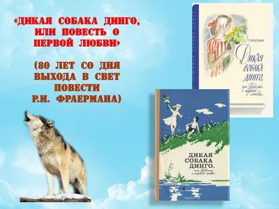 В хозяева она возьмет лишь одного человека и никогда его не сменит. Фото |  Ранкове місто Київ