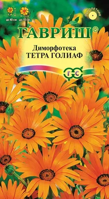 Диморфотека Цветочный нектар, смесь сортов - Садовый центр «СадОК»