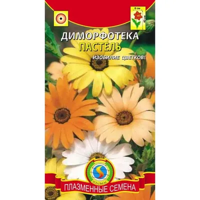 Диморфотека Сказачная полянка (семена,цветы) купить по цене 49 ₽ в  интернет-магазине KazanExpress