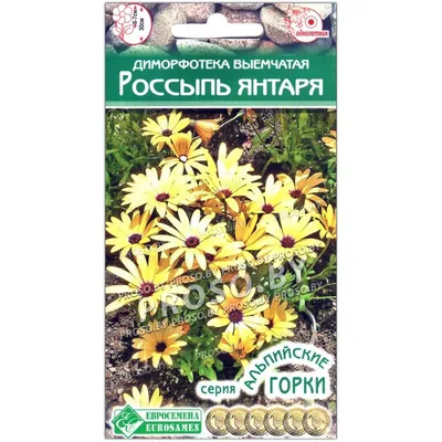 Диморфотека Цветочный нектар, смесь окрасок 0,2г, семена | Купить в  интернет магазине Аэлита