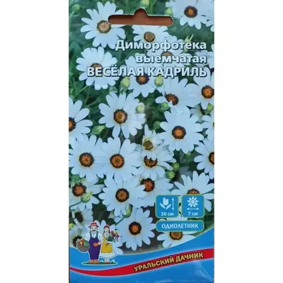 Семена цветов Семена Диморфотека Пастель, смесь купить по цене 49 ₽ в  интернет-магазине KazanExpress