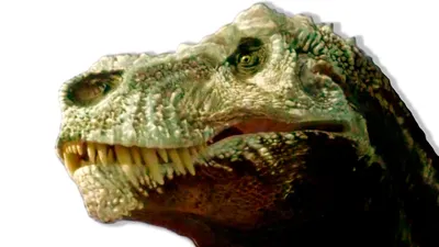 [42+] Динозавр тирекс фото