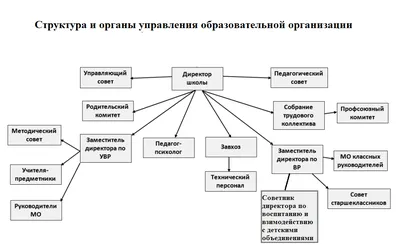 Директор витебской школы и депутат Татьяна Автухова: «Плохо, что растет  общество потребителей»