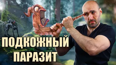 Сердечный дирофиляриоз — артемида