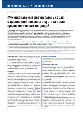 Болезни суставов у собак: симптомы и лечение - статьи о лечении в  ветеринарной клинике Dr.Vetson