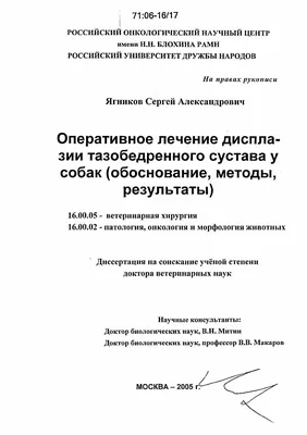 Дисплазия тазобедренного сустава с вывихом — Дисплазия тазобедренных  суставов — Ветеринарный форум