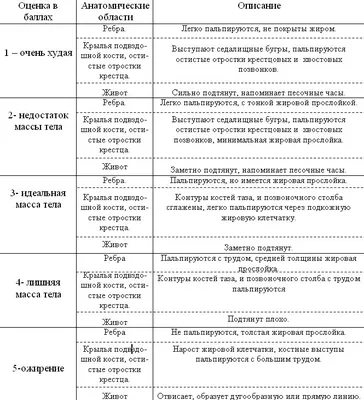 Дисплазия тазобедренного сустава у собак, симптомы, лечение, диагностика и  профилактика - Питомцы Mail.ru