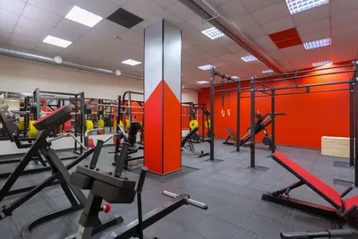 Желтый потолок в фитнес-клубе | Arquitetura de academia, Projeto de  fitness, Salas de ginástica