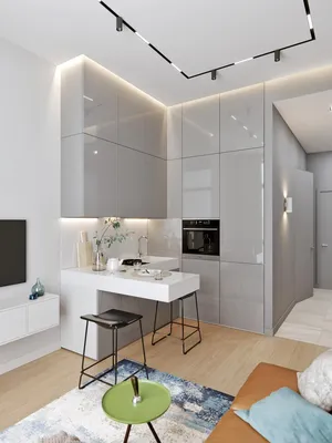 Дизайн квартиры-студии 25 кв м – фото и идеи интерьера для ремонта и дизайна  студии | Houzz Россия