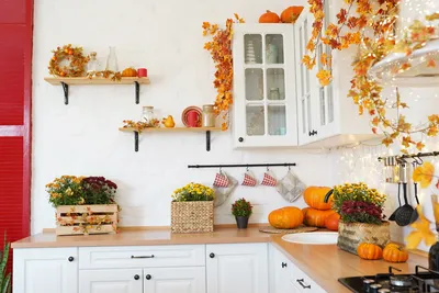 Оранжевая кухня - яркое летнее настроение в вашем доме. Фото кухни  оранжевого цвета