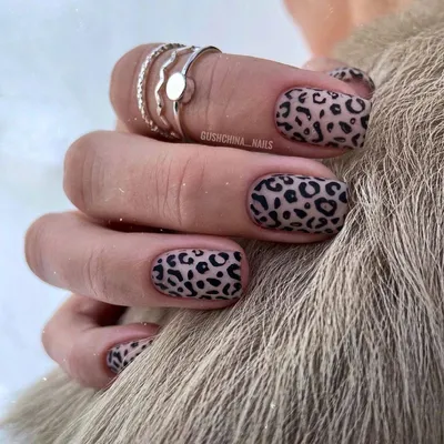 Дизайн ногтей леопард фото фотографии