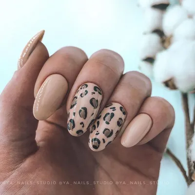 Маникюр|ногти Спб Центр (@glmnp) • Фото и видео в Instagram | Leopard print  nails, Manicure, Nails