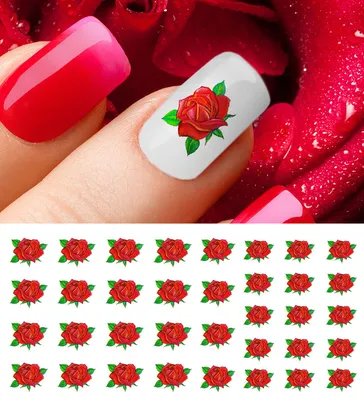 Red Rose Nail Art Waterslide Decals - Salon Quality! Valentines Day! | eBay