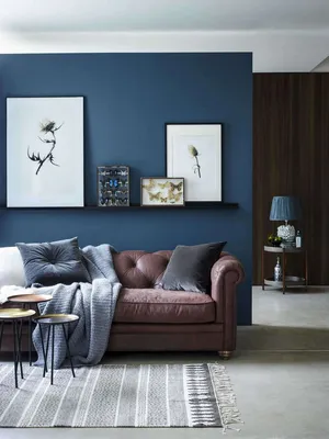синяя стена за диваном | Brown couch living room, Brown and blue living  room, Brown living room