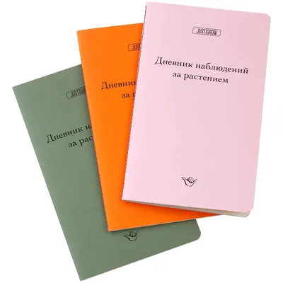 Грасский дневник - Кузнецова Г.Н. Подробное описание экспоната, аудиогид,  интересные факты. Официальный сайт Artefact