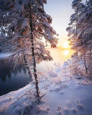 Доброе утро друзья! Немного нежности в хмурое утро ❤ Сегодня хочу вам  показать два прекрасных отшива схемы \"Яблоневый цвет\" от Таи… | Instagram