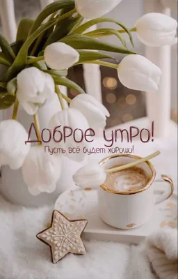 Testohouse - Доброе кофейное утро! Приходите к нам в свободное время, у нас  очень вкусный итальянский кофе. А выбор десертов - просто  головокружительный! #ТестоХаус #кофейня #пекарня #кондитерская #кофекофе  #нашрайон #Петербург #кофе #семейноекафе #